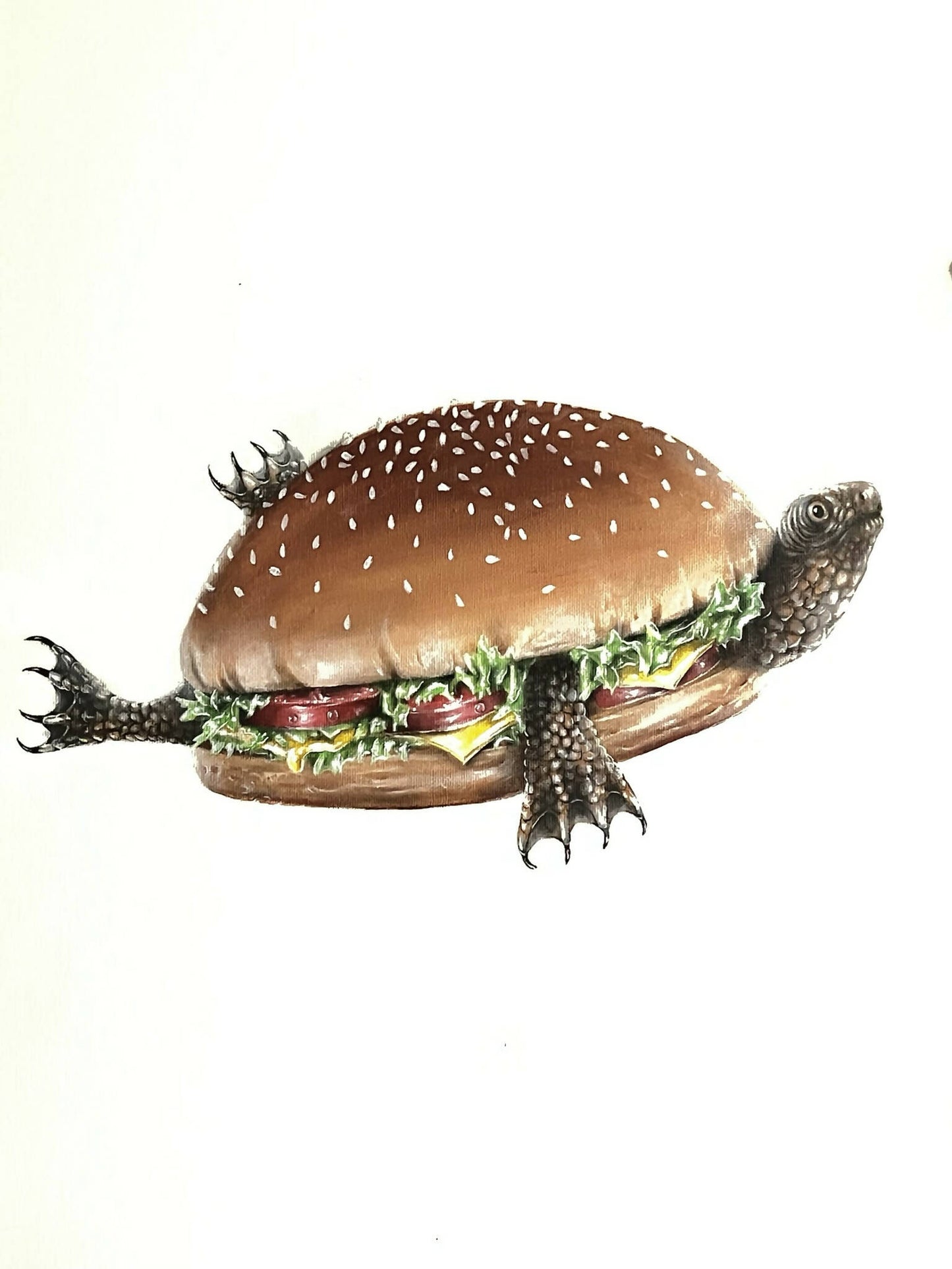 André Camaleão | P55.ART.