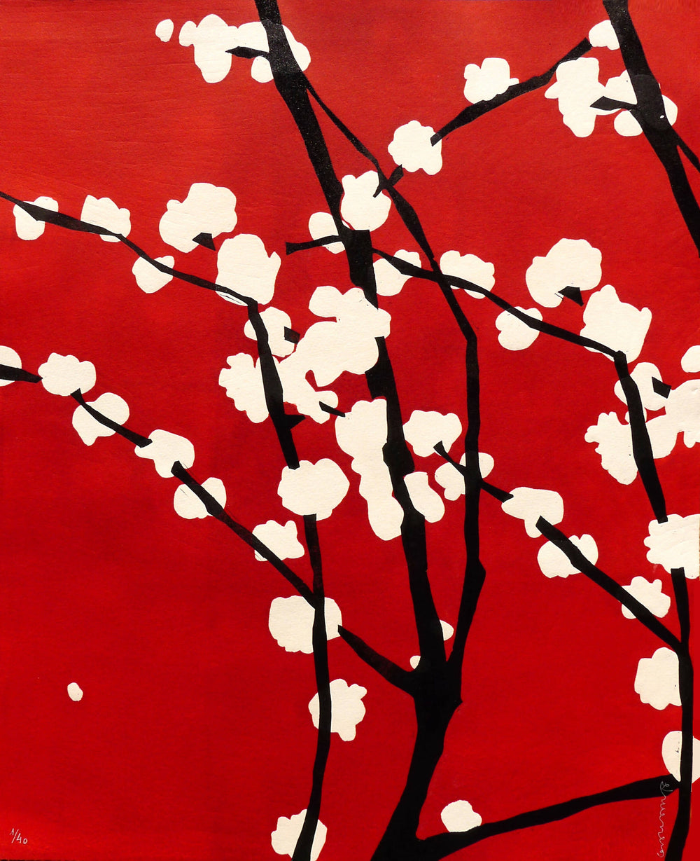 Cristina Gayarre | P55.ART.
