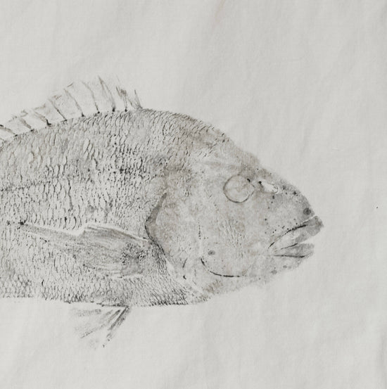 
                  
                    LUZALBA | P55.ART.
                  
                