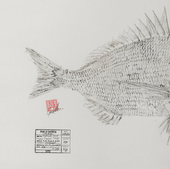 
                  
                    LUZALBA | P55.ART.
                  
                