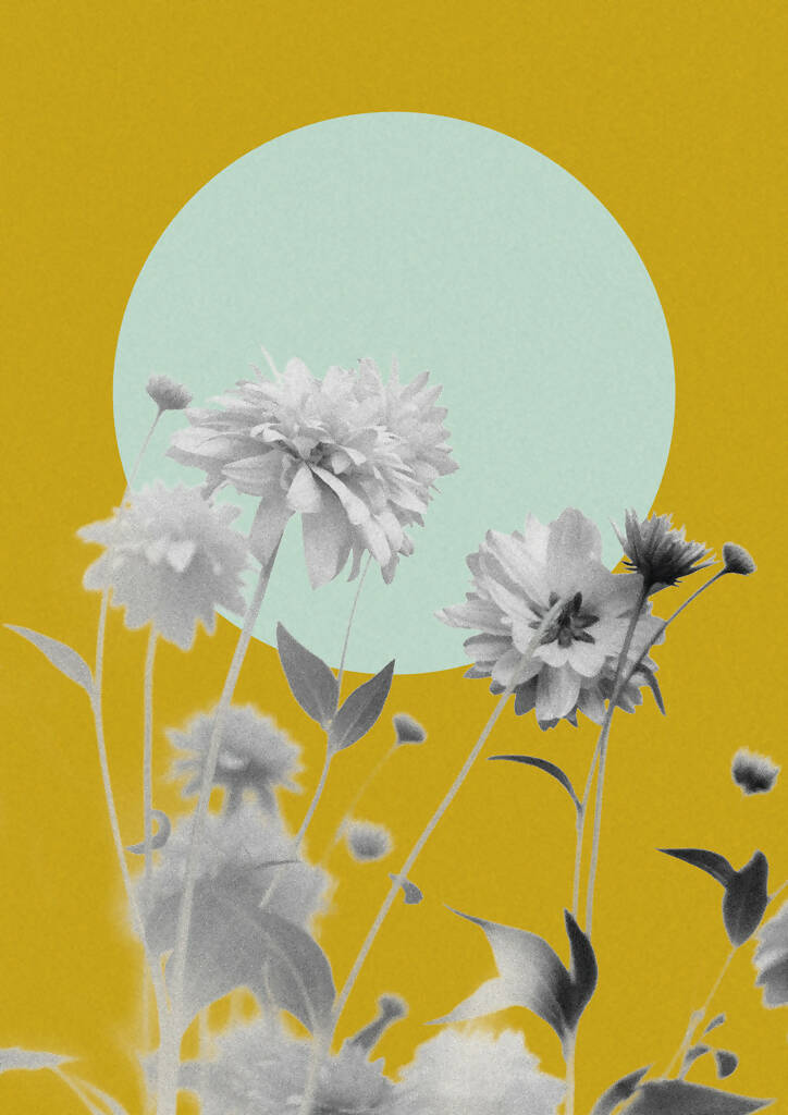 Mafalda David | P55.ART.