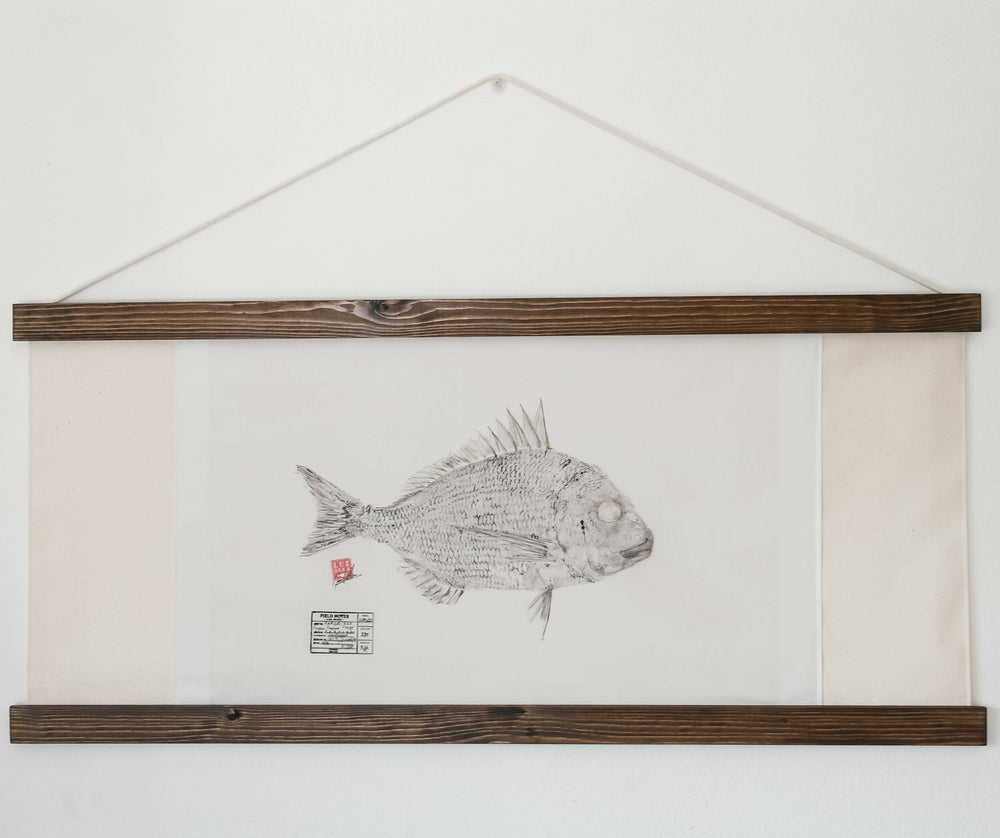 LUZALBA | P55.ART.