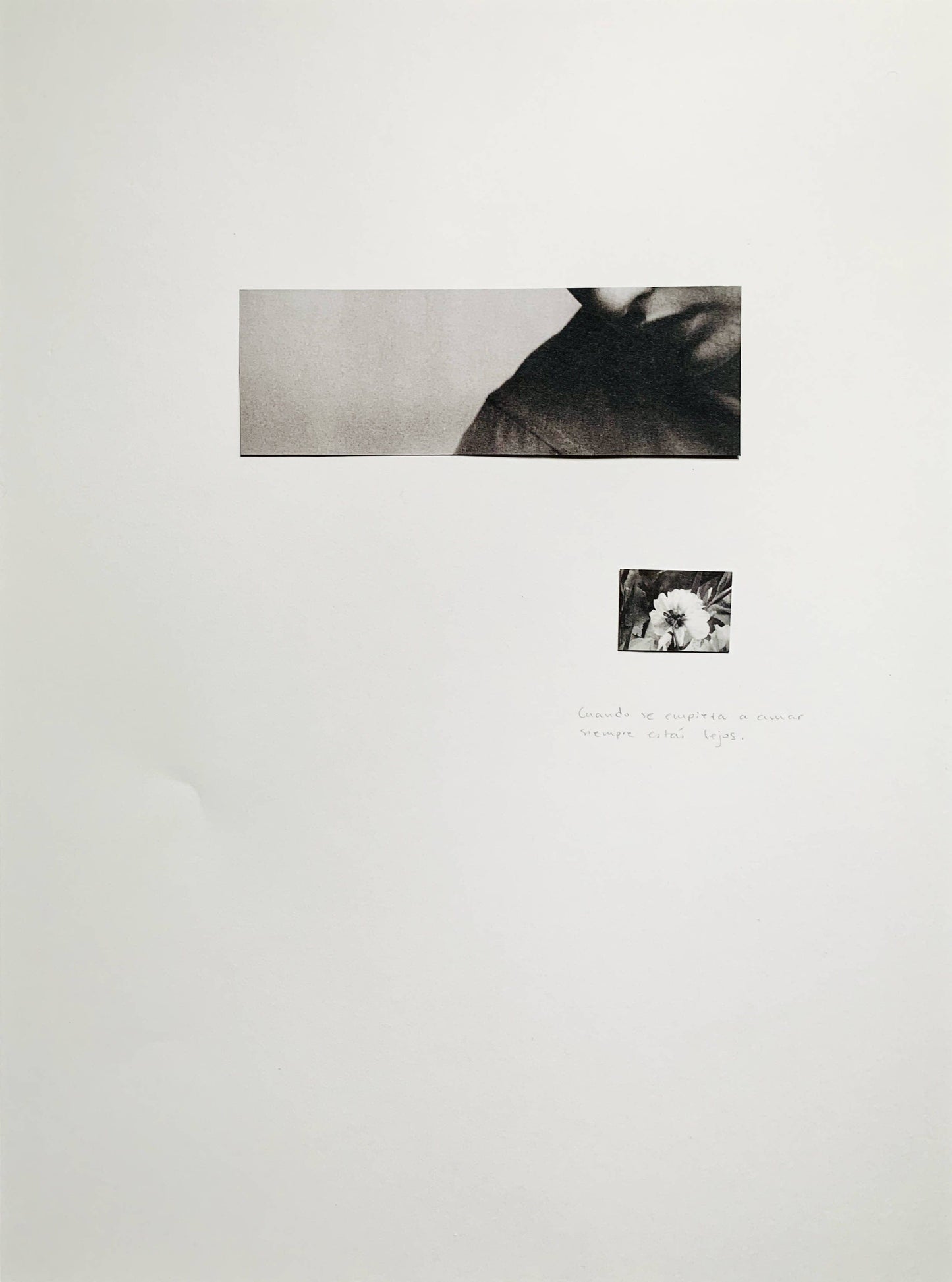 Annita Klimt | P55.ART.