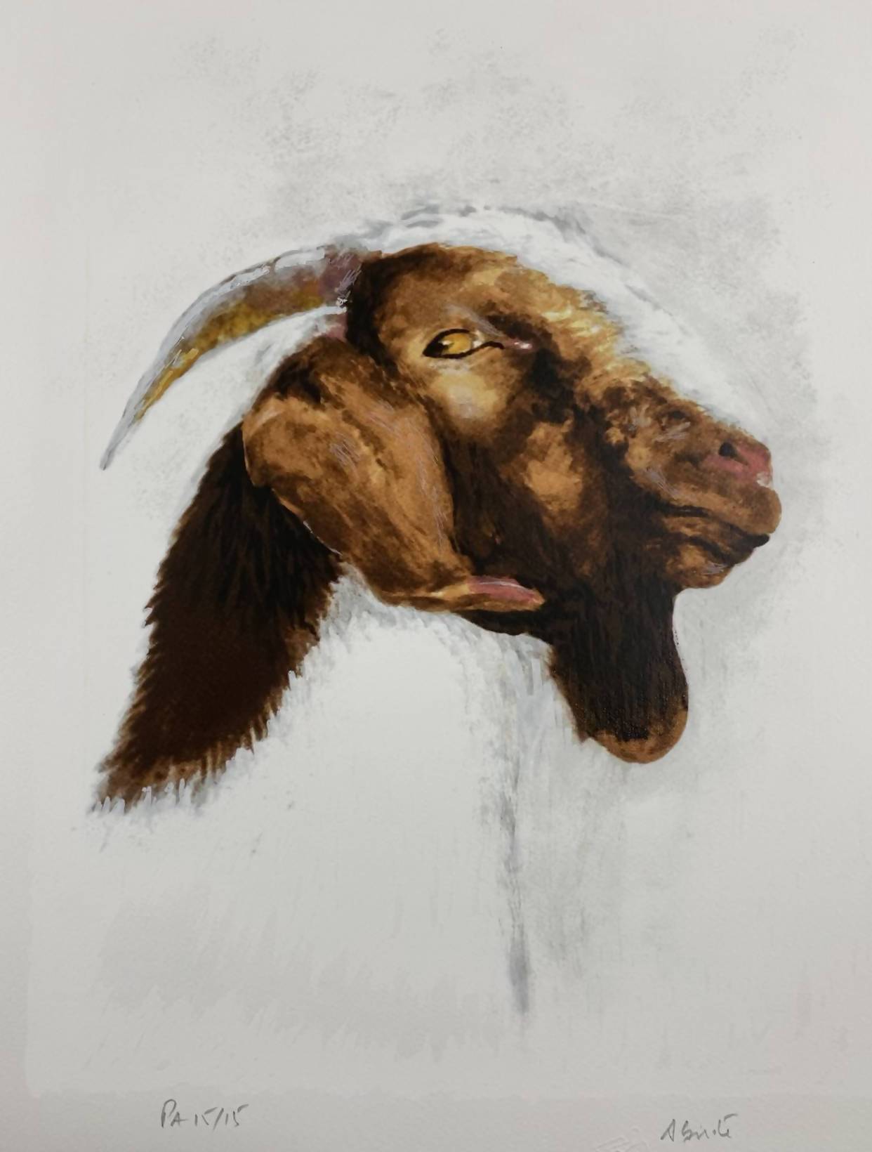 António Saiote | P55.ART.