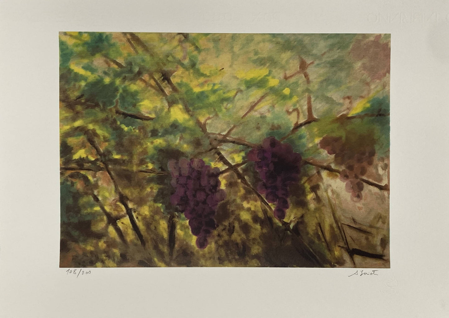 António Saiote | P55.ART.