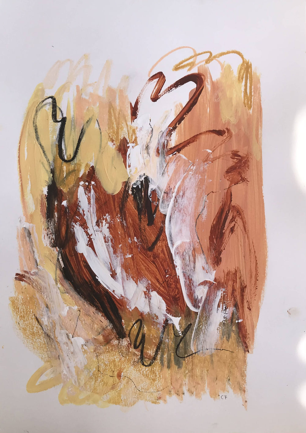 Catarina Ferreira | P55.ART.