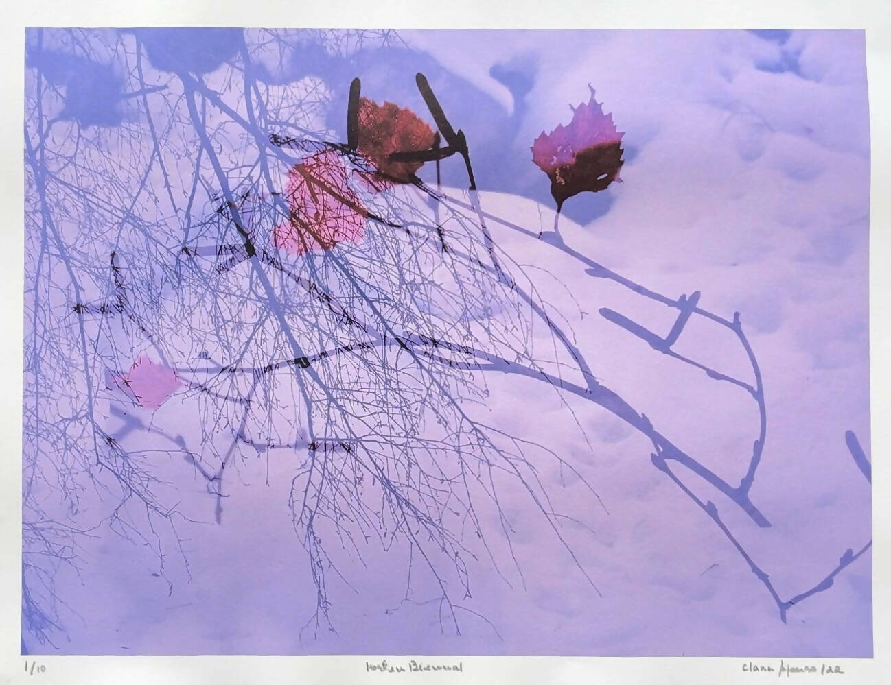 Clara Afonso | P55.ART.
