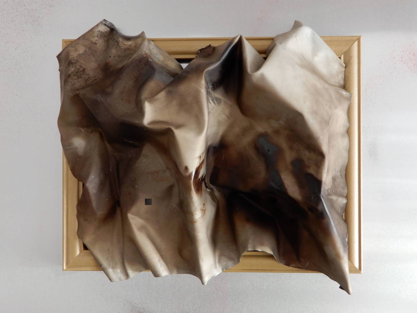 Charo Carrera | P55.ART.