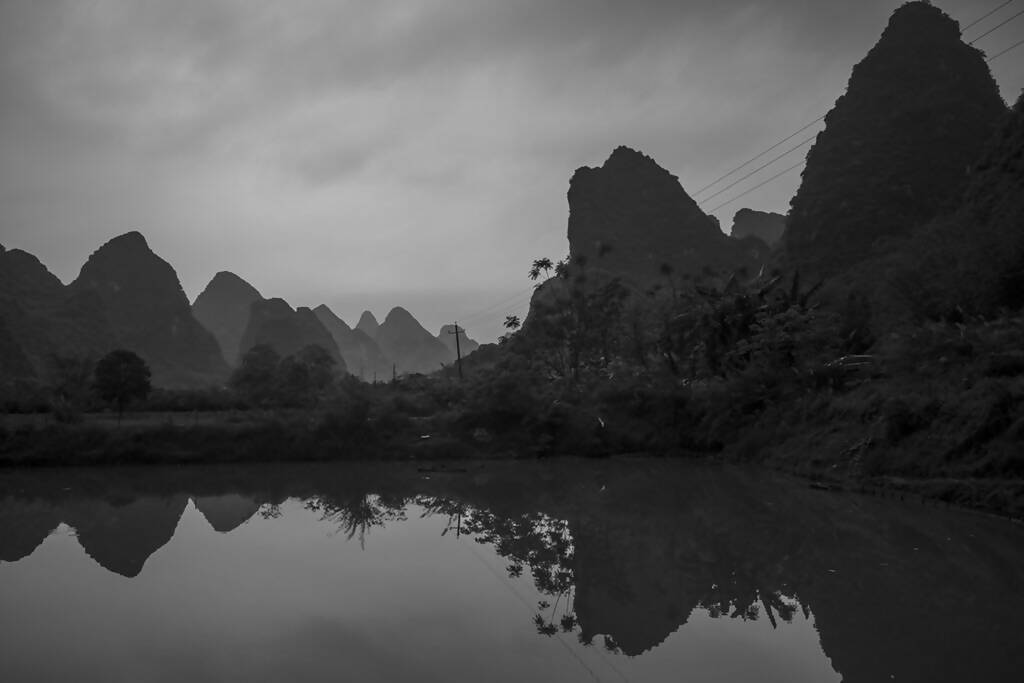 Eduardo Martins | P55.ART.