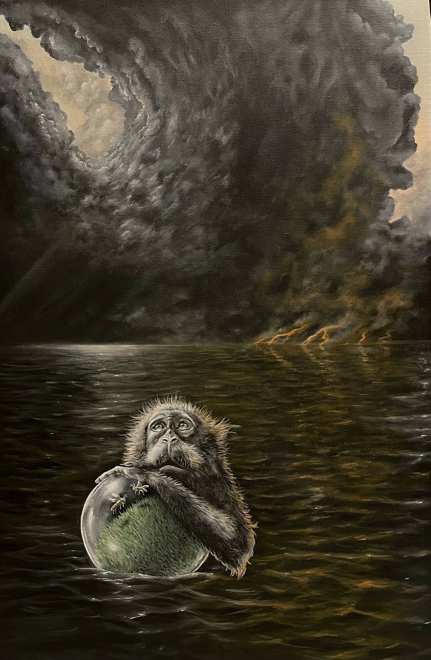 André Camaleão | P55.ART.