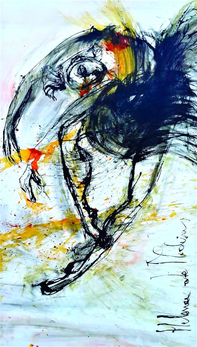 Helena de Medeiros | P55.ART.