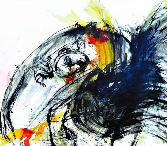 
                  
                    Helena de Medeiros | P55.ART.
                  
                