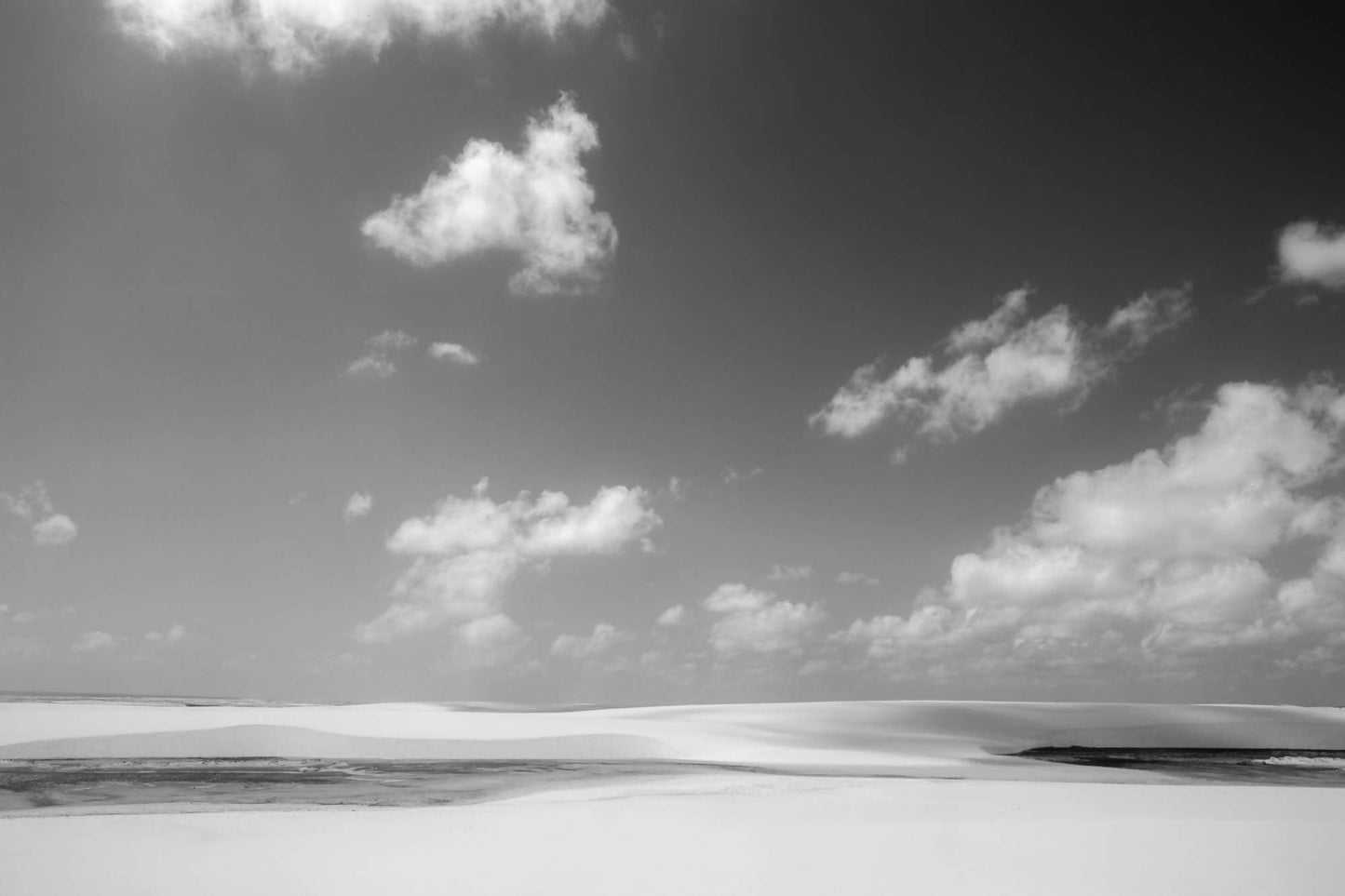 Humberto Lemos | P55.ART.