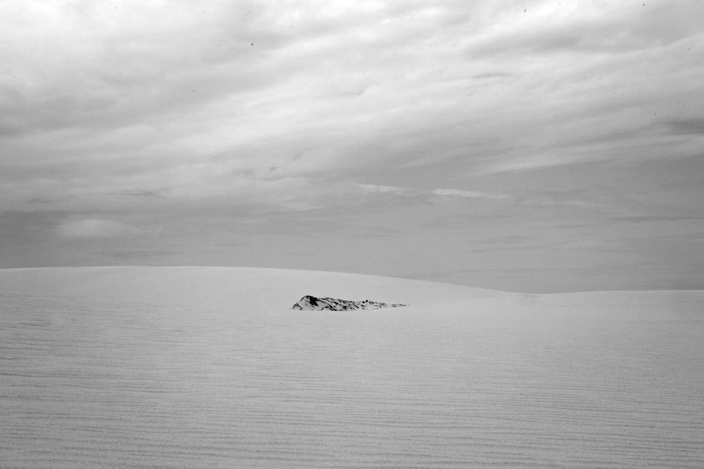 Humberto Lemos | P55.ART.