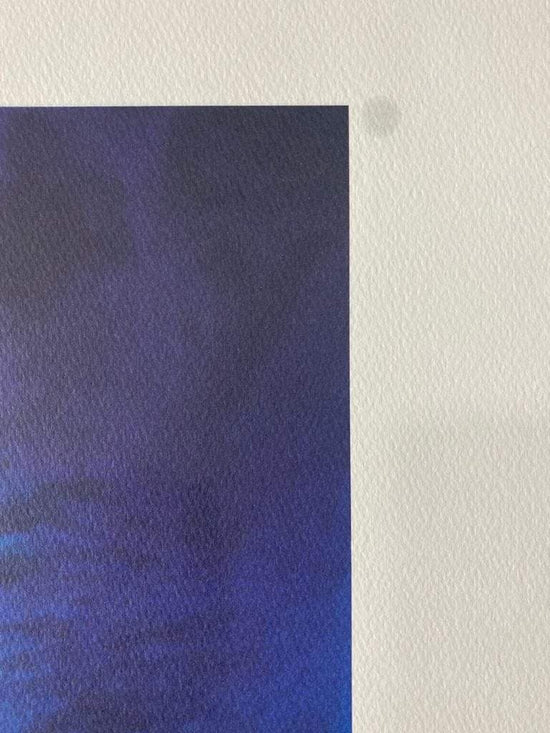 
                  
                    Joaquim Canotilho | P55.ART.
                  
                