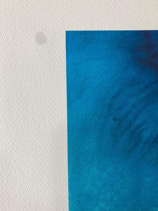 
                  
                    Joaquim Canotilho | P55.ART.
                  
                