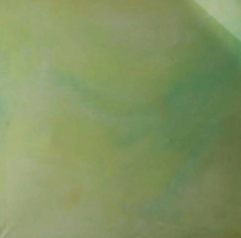 André Pinto | P55.ART.