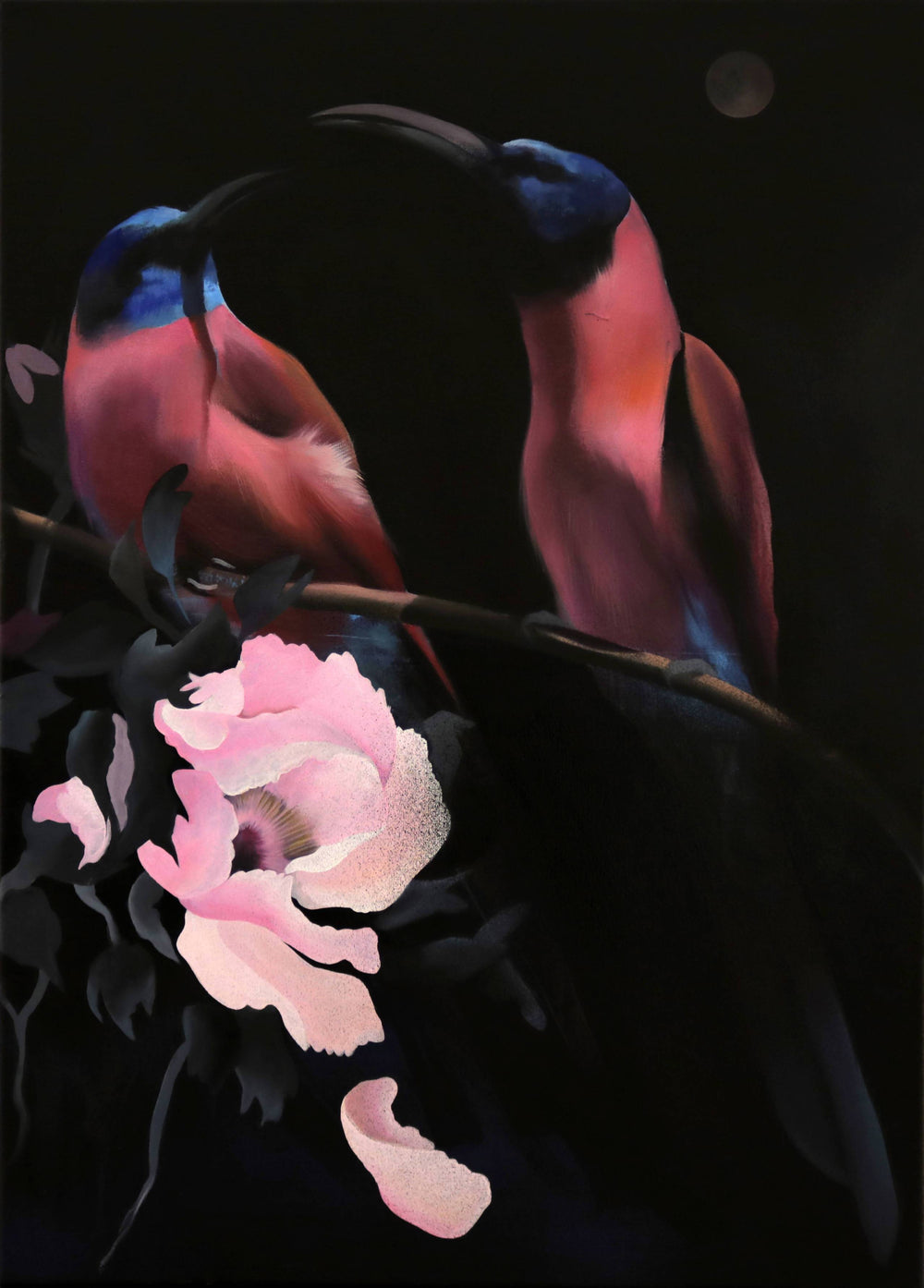 Manu Muñoz | P55.ARTE.