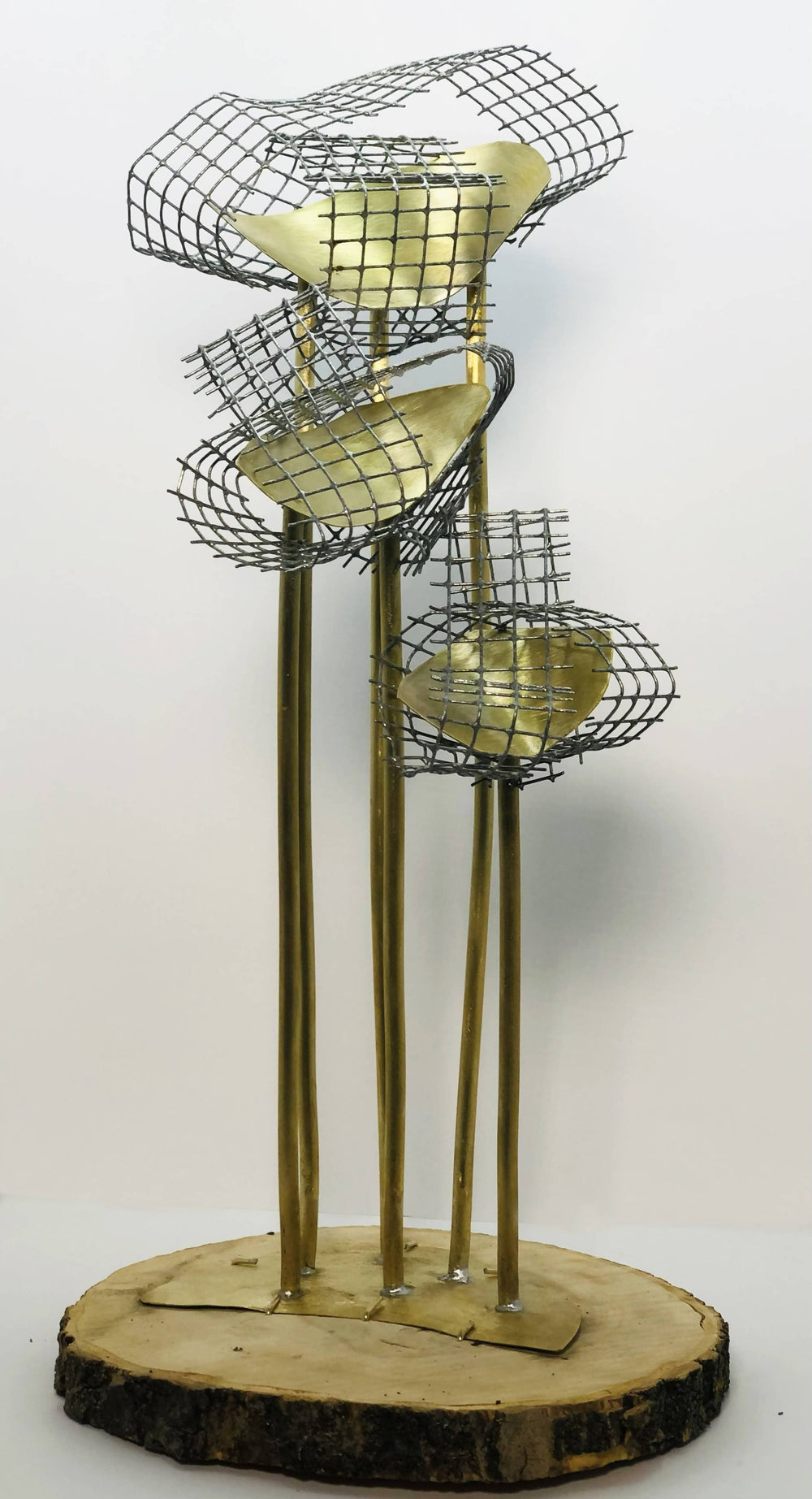 Pedro Cordeiro | P55.ART.