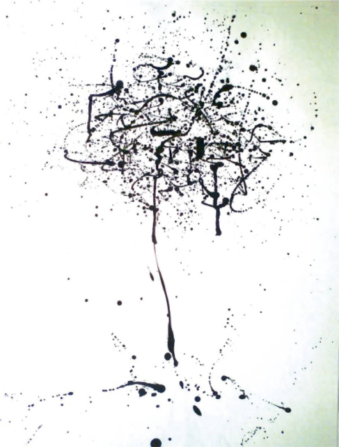 Pedro Cordeiro | P55.ART.