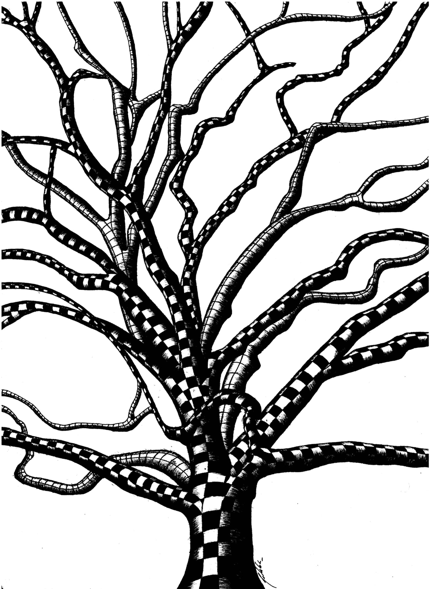 Pedro Cordeiro | P55.ART.