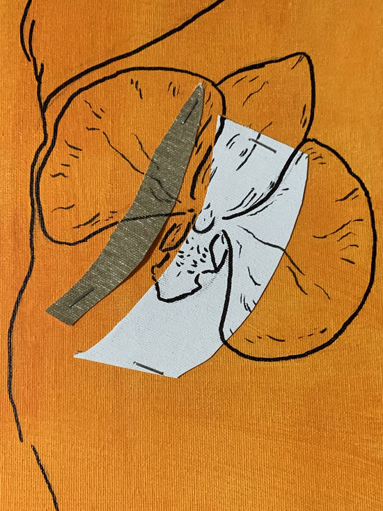 
                  
                    Renato Macedo | P55.ART.
                  
                