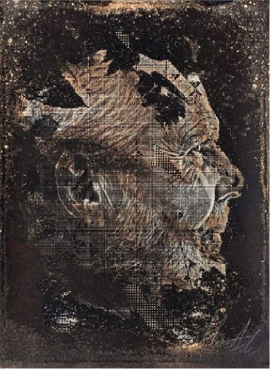 Vhils | P55.ART.