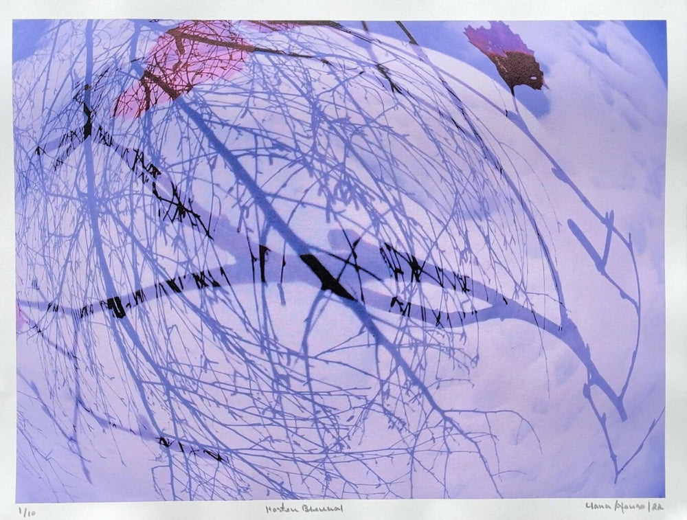 Clara Afonso | P55.ART.