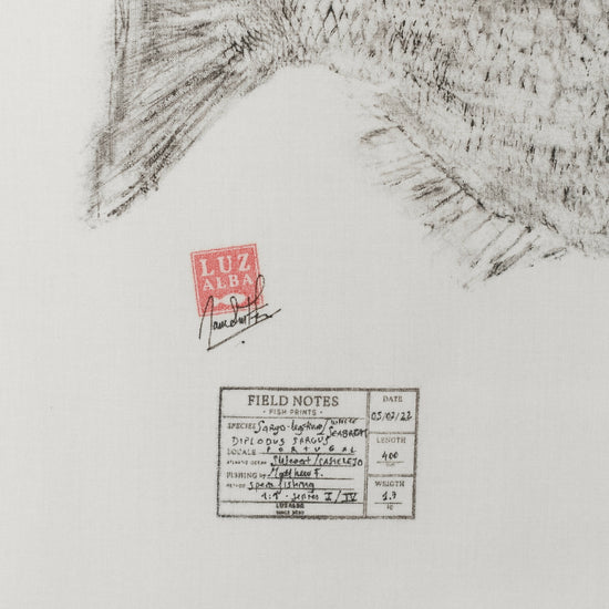 
                  
                    LUZALBA | P55.ART.
                  
                