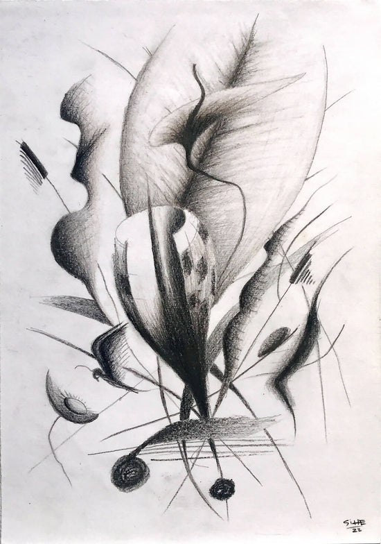 Rimi SiHe | P55.ART.